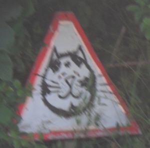 Quirky Road Sign